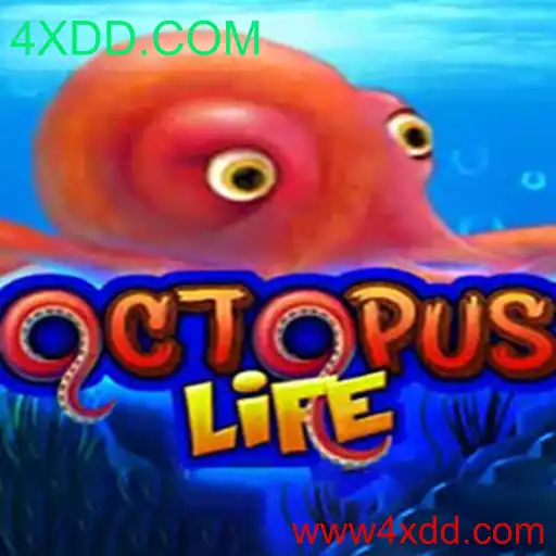 Explorando o Mundo de OctopusLife